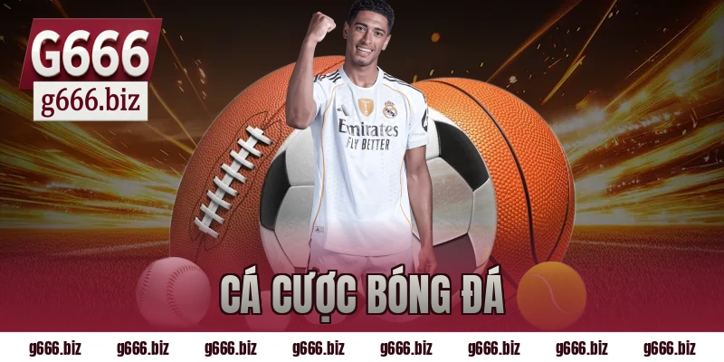 cá cược bóng đá