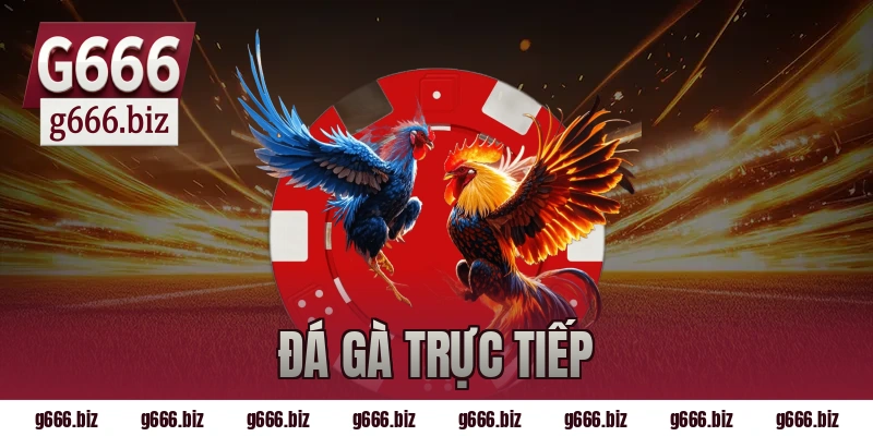 đá gà trực tiếp