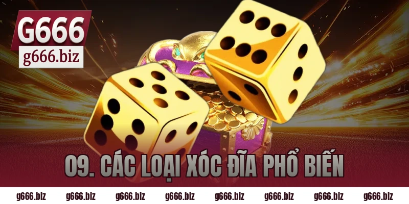 09. các loại xóc đĩa phổ biến