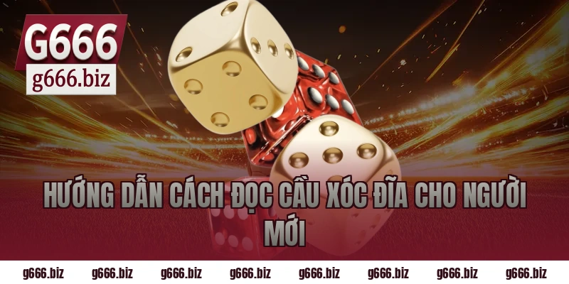 Hướng Dẫn Cách Đọc Cầu Xóc Đĩa Cho Người Mới