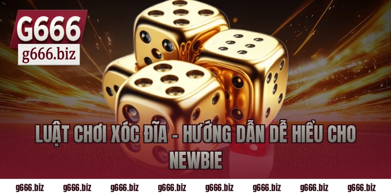 Luật Chơi Xóc Đĩa – Hướng Dẫn Dễ Hiểu Cho Newbie