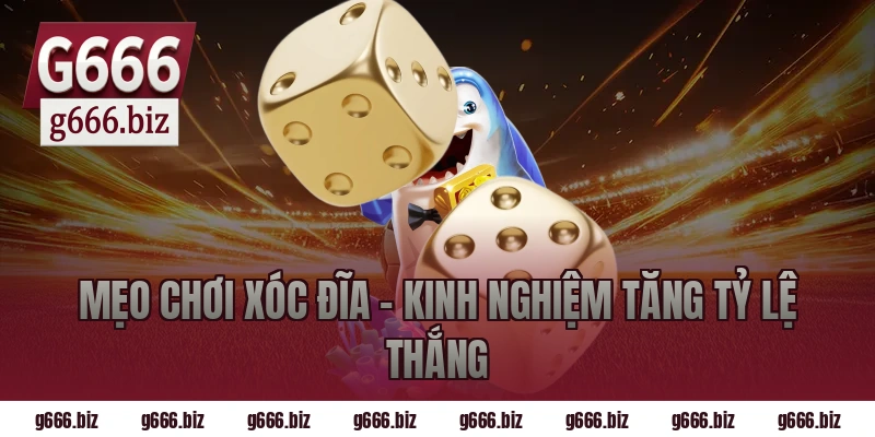 Mẹo Chơi Xóc Đĩa – Kinh Nghiệm Tăng Tỷ Lệ Thắng