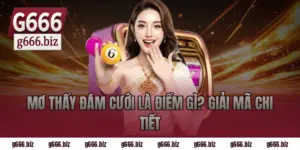 Mơ Thấy Đám Cưới Là Điềm Gì? Giải Mã Chi Tiết