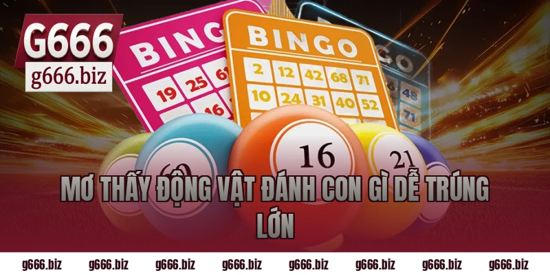 Mơ Thấy Động Vật Đánh Con Gì Dễ Trúng Lớn