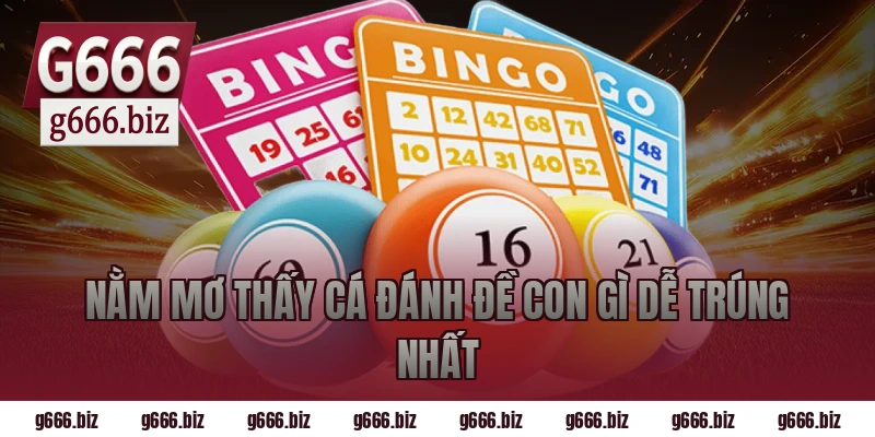 Nằm Mơ Thấy Cá Đánh Đề Con Gì Dễ Trúng Nhất