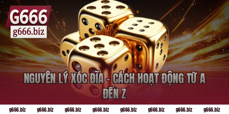 Nguyên Lý Xóc Đĩa – Cách Hoạt Động Từ A Đến Z