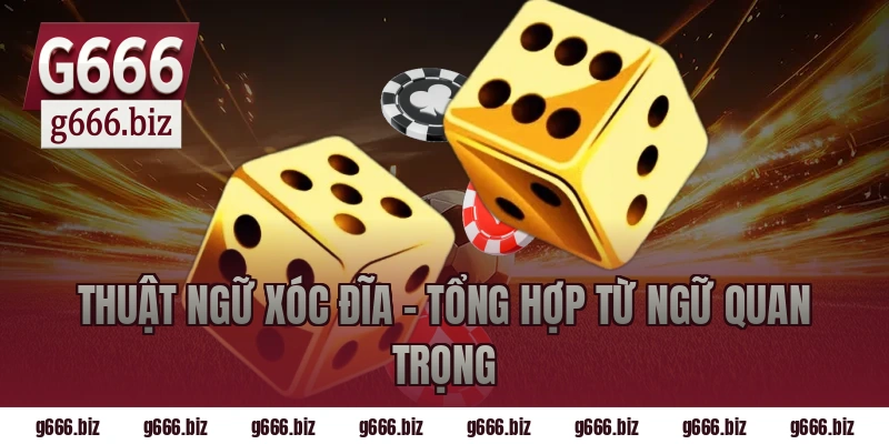 Thuật Ngữ Xóc Đĩa – Tổng Hợp Từ Ngữ Quan Trọng