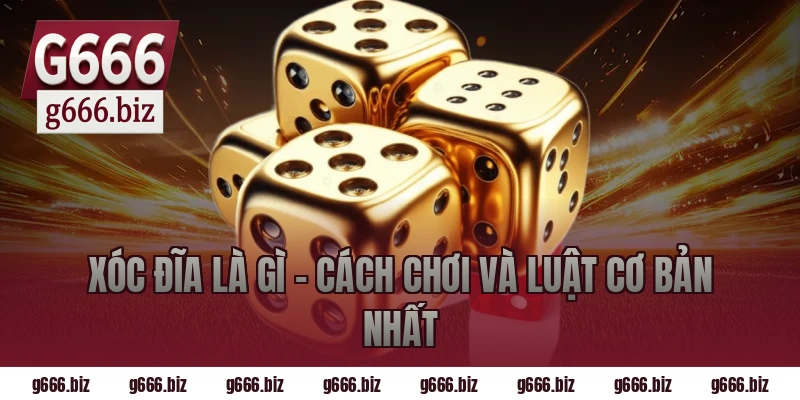 Xóc Đĩa Là Gì – Cách Chơi Và Luật Cơ Bản Nhất